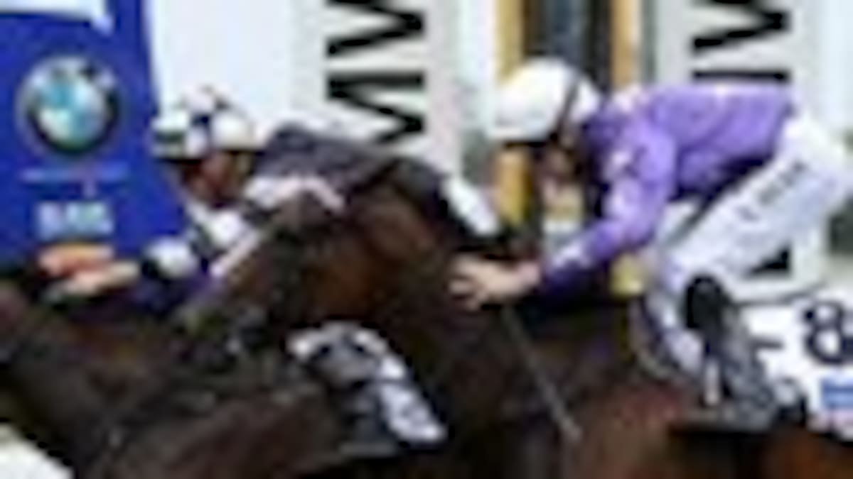 Racing: Berry says it's time for group one joy - NZ Herald