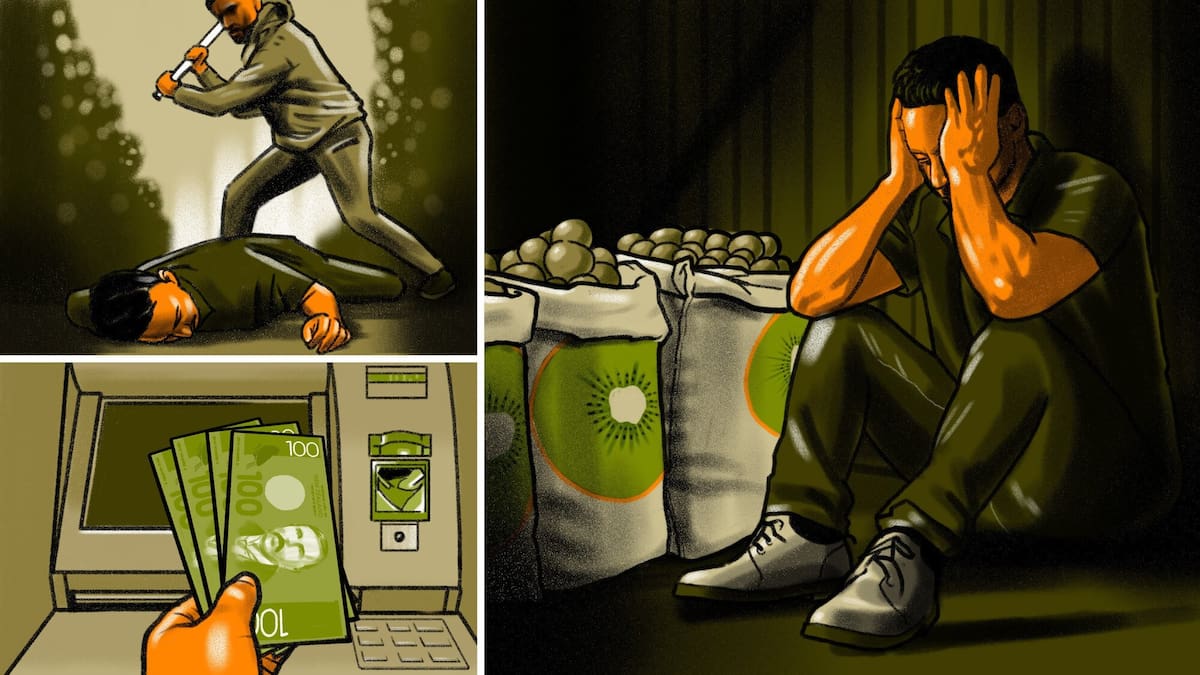 More than $3m put into bank accounts of illegal migrant in alleged kiwifruit tax evasion scam, police investigate alleged kidnapping of ‘money mule’ - Clone