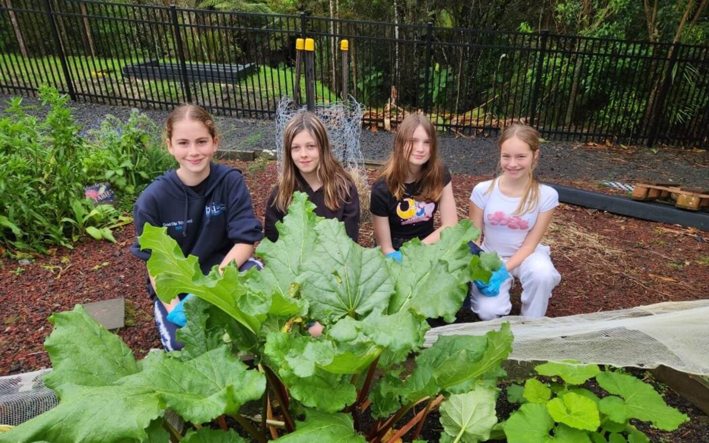 The Year 8 student team in charge of food scrap recycling in the school vegetable garden. Arielle Oswald (left), Leah Andrell, Morgan Price, Madison Freestone Photo / RNZ, Sally Round