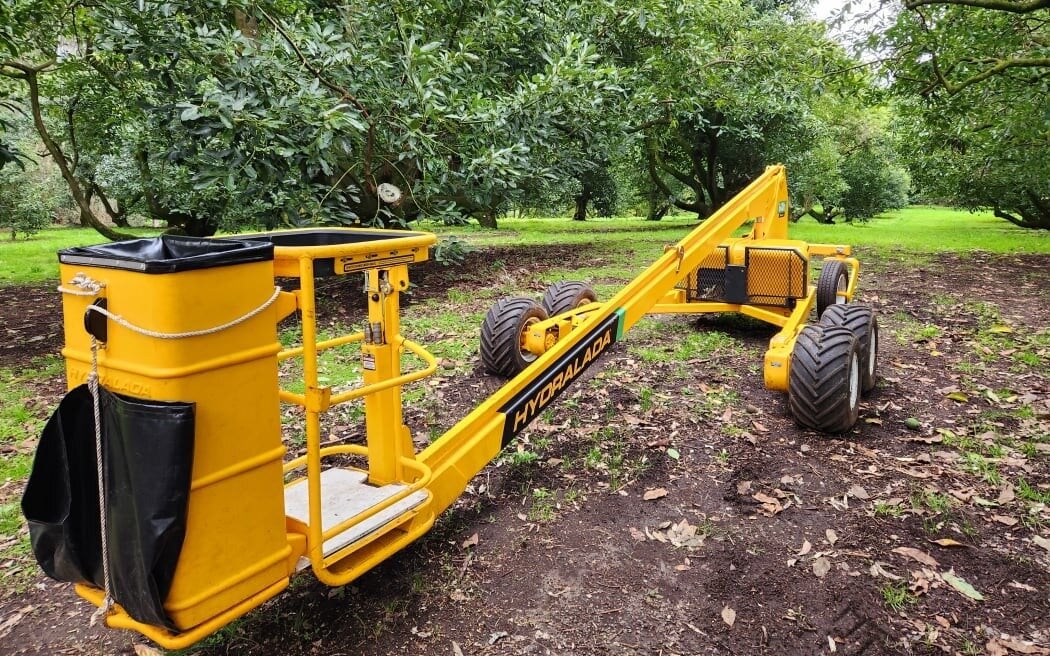 Tim and Michele invested in a Hydralada, which can lift pickers up high to harvest fruit from the tops of the avocado trees. Photo / RNZ, Sally Round