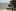 Coyle Park, Point Chevalier Beach. Photo / Michael Craig
