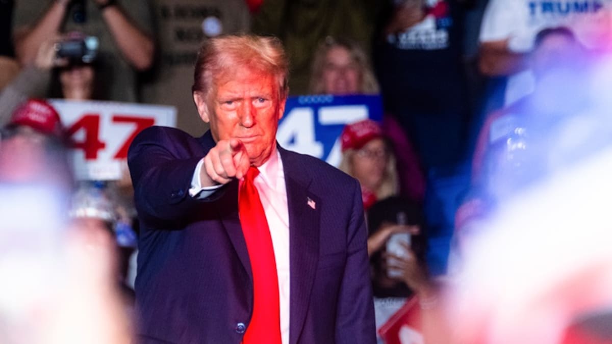 Niven Winchester: How Trump’s trade tariffs will hurt – and help – New Zealand Niven Winchester: How Trump’s trade tariffs will hurt – and help – New Zealand