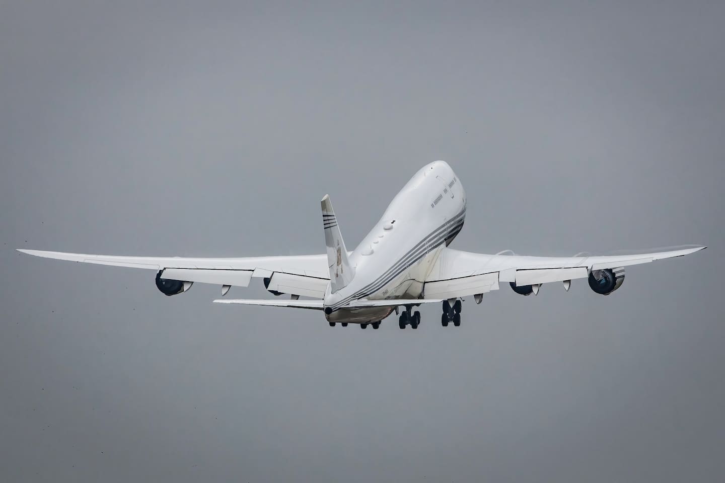 Photo / Kevin Hacket