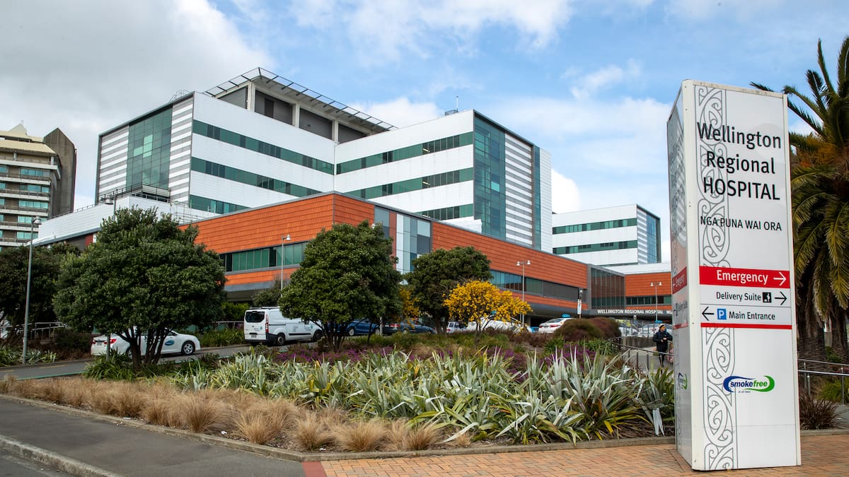 Wellington Hospital Maternity Services Saved: Health NZ Reverses Bed Reduction Plan