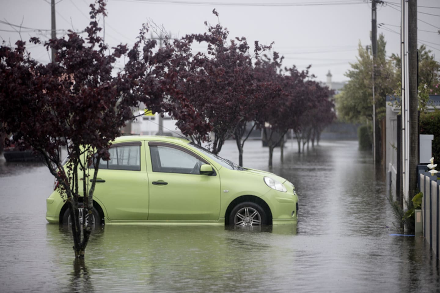 Flooded streets in South Dunedin. Photo / George Heard