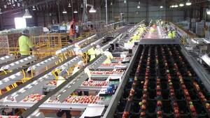 T&G Global receives multiple offers amid sale speculation