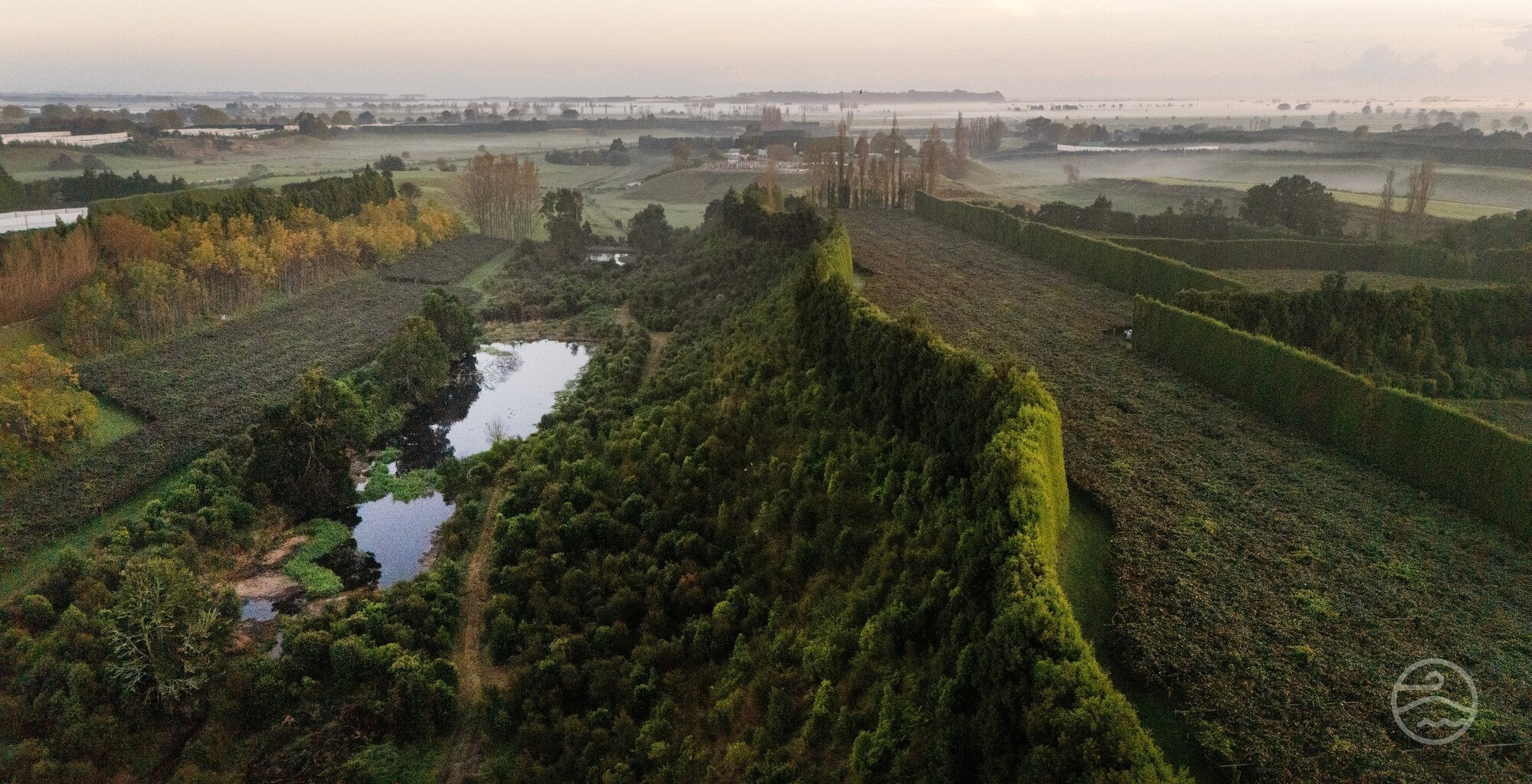default Environmental stewardship was visible across Mātai Pacific Iwi Collective orchards, with 13,000 native plants established in 2025, alongside extensive wetland creation and riparian restoration. Photo / NZFET - Alan Gibson