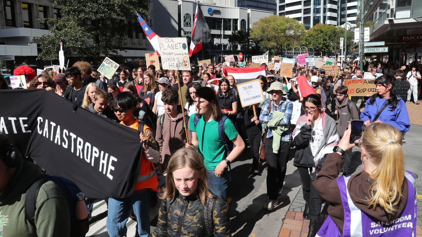 Hundreds of students march to Parliament today as part of the school strike for climate as part of the School Strike 4 Climate in Wellington. April 5, 2024. Photo / Mark Mitchell