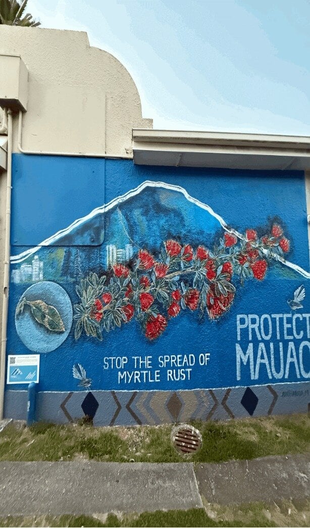  A new public mural on Mount Mainstreet is to raise awareness of myrtle rust and the threat it poses to Mauao and Aotearoa&rsquo;s native taonga species. Photo / Supplied