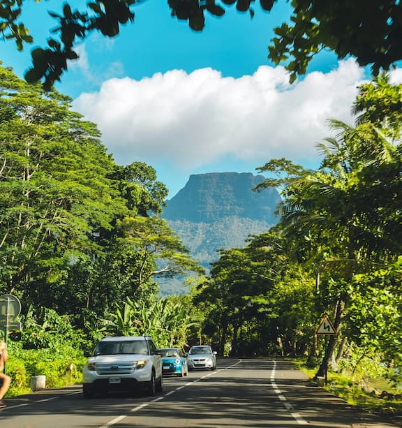 Tahiti Trick Saves Thousands, Enriches Culture