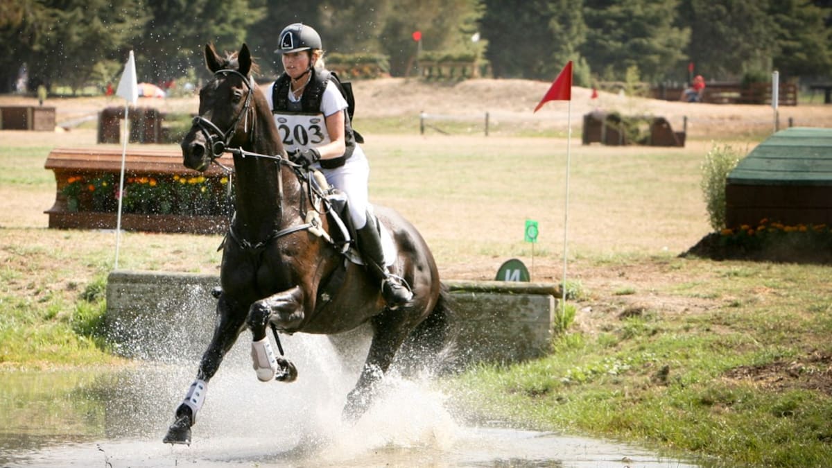 The lawyer, the horse magazine and ex-TVNZ news chief’s evidence – court orders retrial The lawyer, the horse magazine and ex-TVNZ news chief’s evidence – court orders retrial