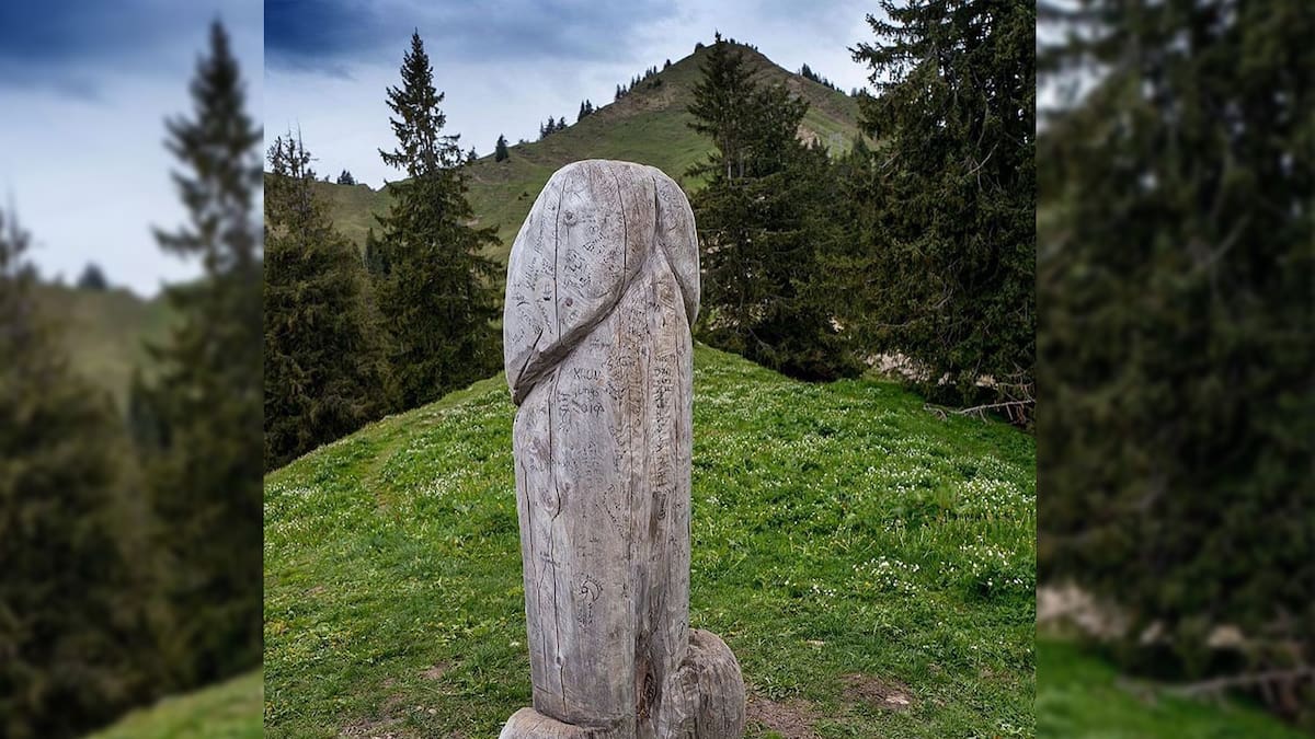 Missing wood: German police probe phallic statue mystery