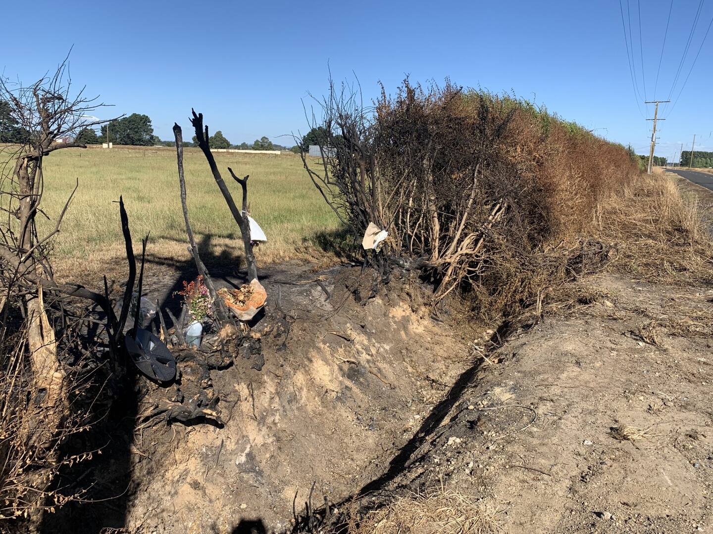 The charred remains of the hedge and surrounding bush from the fiery crash on Dawson Rd pictured on January 17, 2022. Photo / NZME