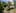 The bushy exterior of the Titirangi home. Picture / Guy Coombes.