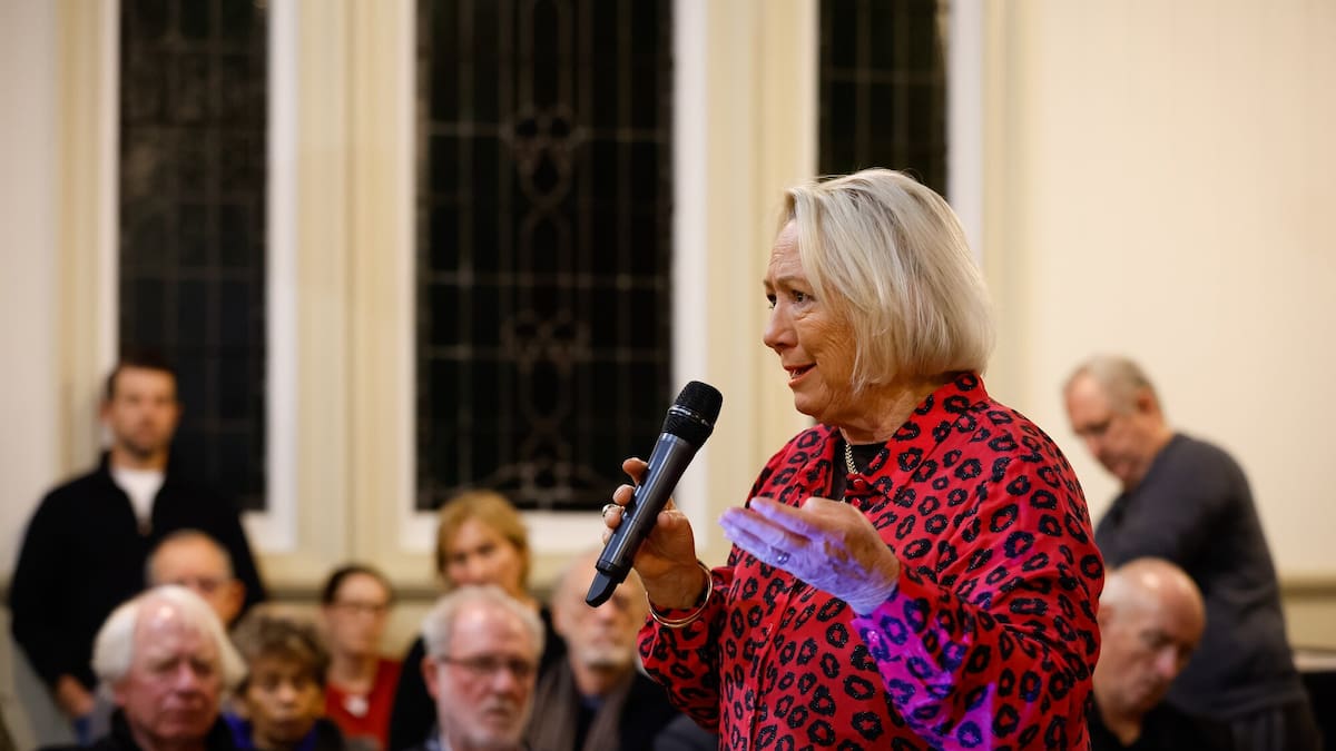 Auckland Mayor Wayne Brown blasts Christine Fletcher’s planning comments - Love this City with Simon Wilson