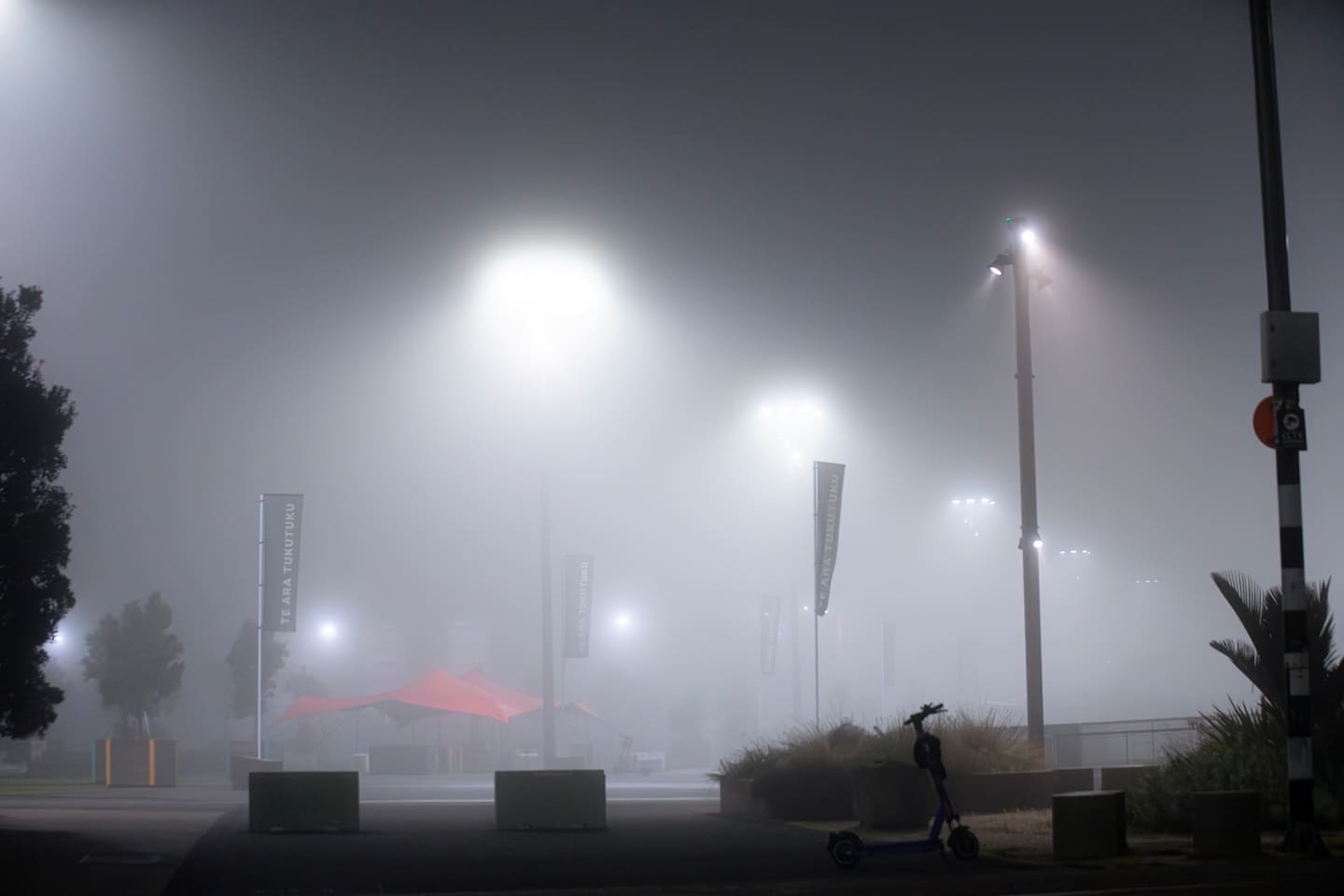 Fog covering the Viaduct in central Auckland overnight. Photo / Hayden Woodward