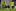 South Africa's Reneilwe Letsholonyane, top left, and Mexico's Guillermo Franco vie for the ball as South Africa's Steven Pienaar, back to camera, looks on. Photo / AP