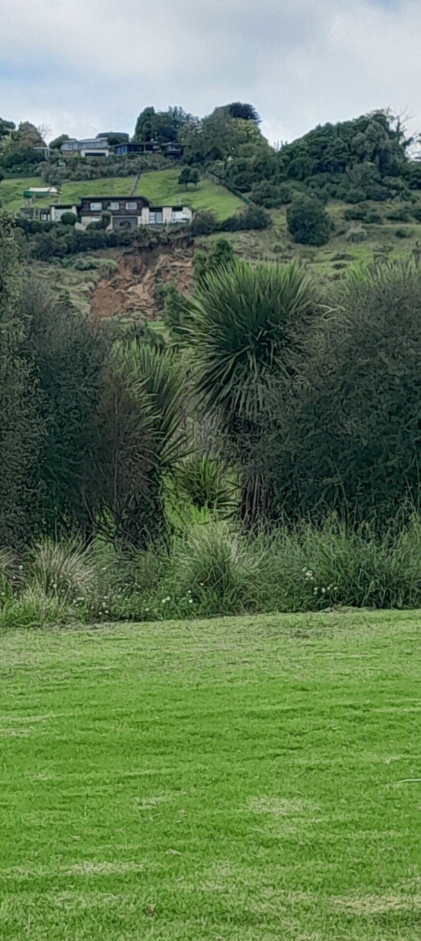 A photo taken yesterday from Carmichael Reserve Playground shows the slip in Bethlehem.