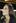 Photo / Nicole Saunders