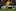 Quade Cooper of Australia kicks for touch during the Investec international test match between England and Australia at Twickenham. Photo / Getty Images