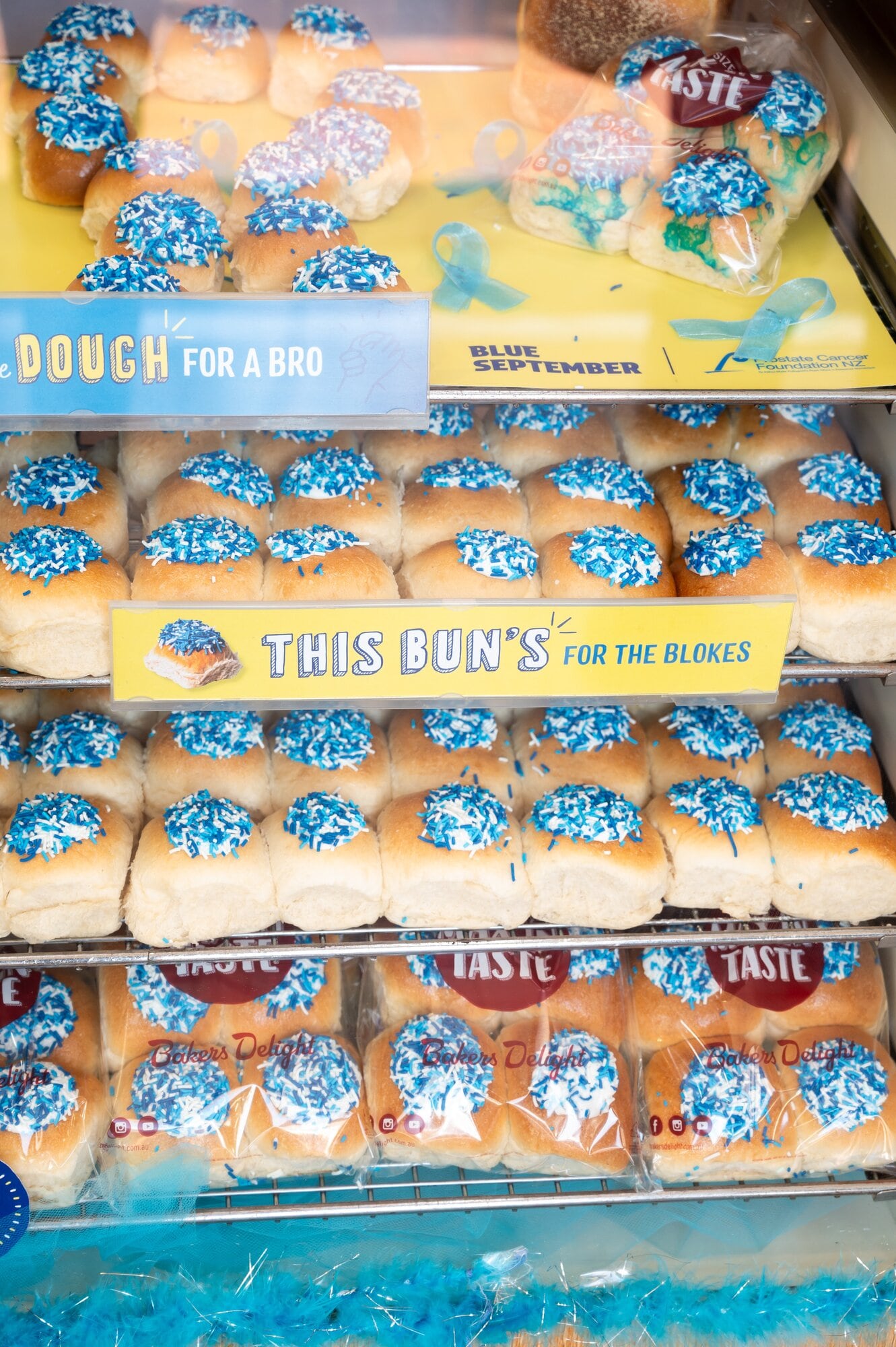  Blue-iced buns at Bakers Delight in Gate Pa, helping to raise awareness of prostate cancer during Blue September. Photo / Brydie Thompson.