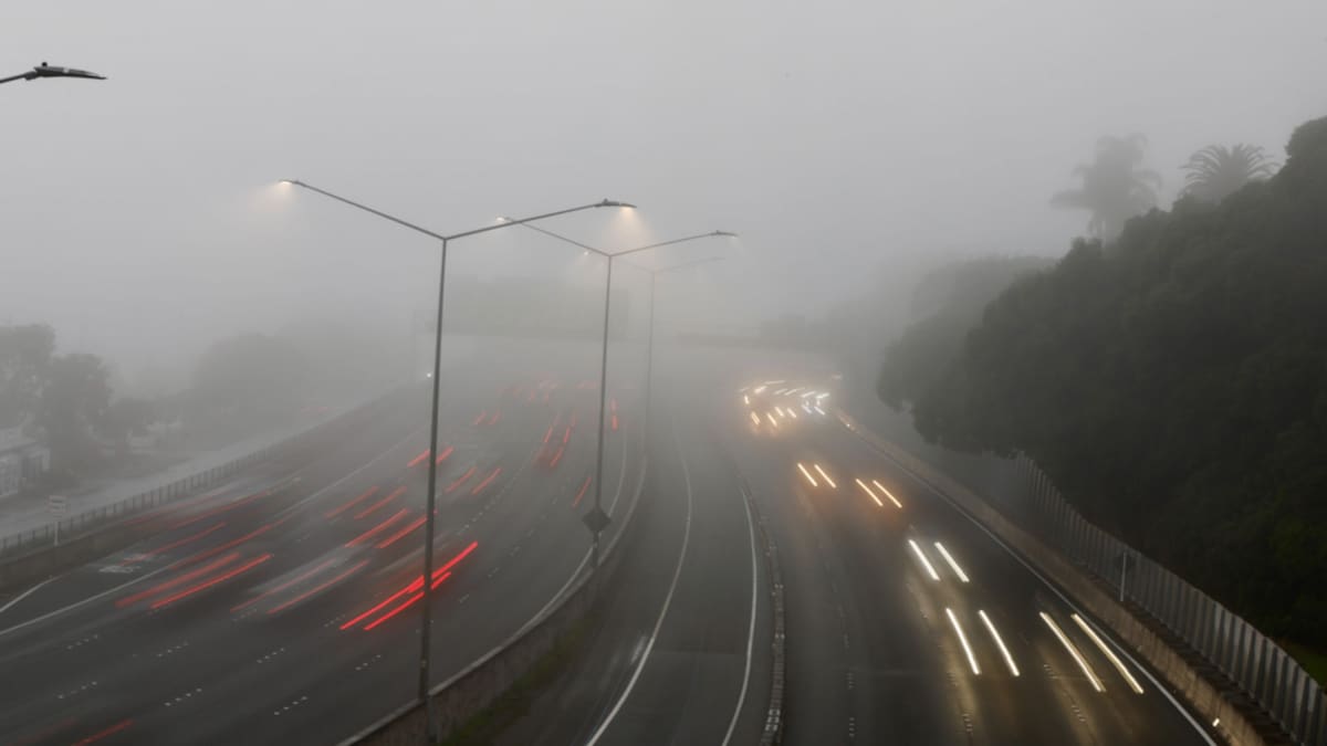 20+ domestic flights cancelled due to fog at Auckland Airport 20+ domestic flights cancelled due to fog at Auckland Airport