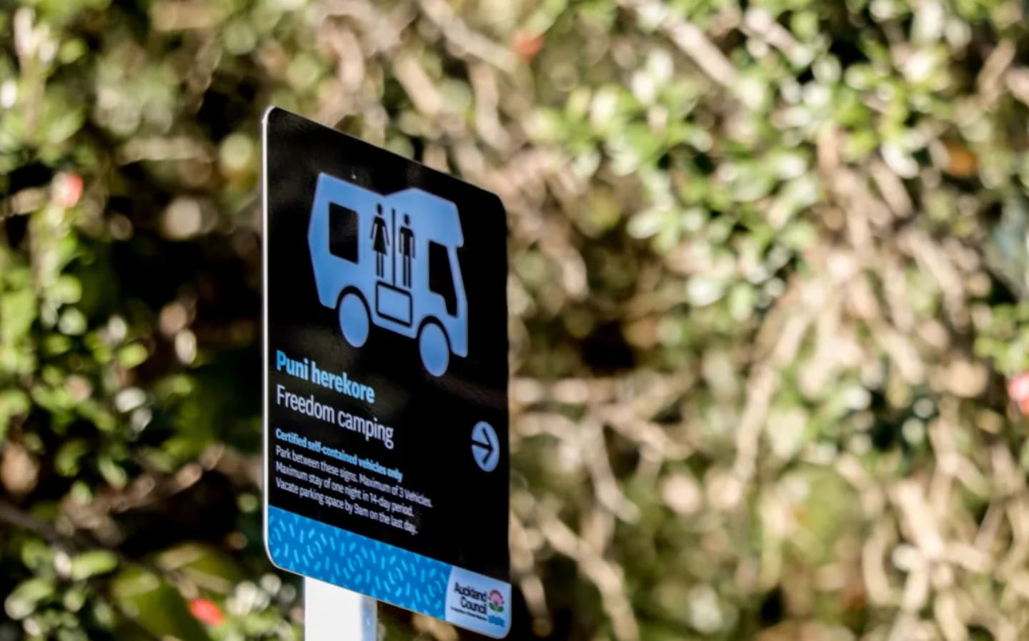 Freedom camping signage at Cox's Bay. Photo / Marika Khabazi, RNZ
