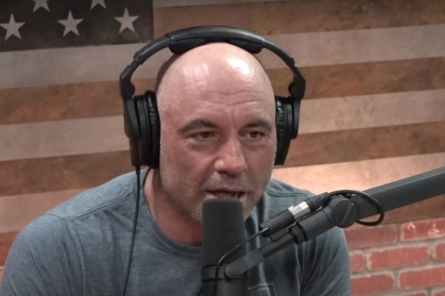 AG1 is regarded as the world leader in social influencer marketing, building an enormous subscriber base with the paid endorsements of stars such as Joe Rogan, Gwyneth Paltrow and Sir Lewis Hamilton. Photo / Joe Rogan