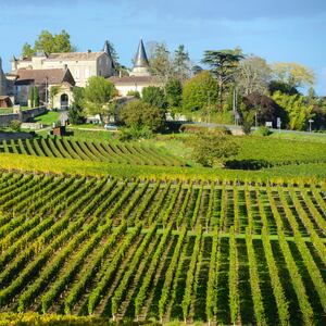 US tariff tussles stuff of nightmares for Bordeaux winemakers