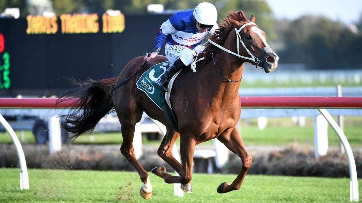 Why this talented filly is heading to Australia’s racing stage Why this talented filly is heading to Australia’s racing stage