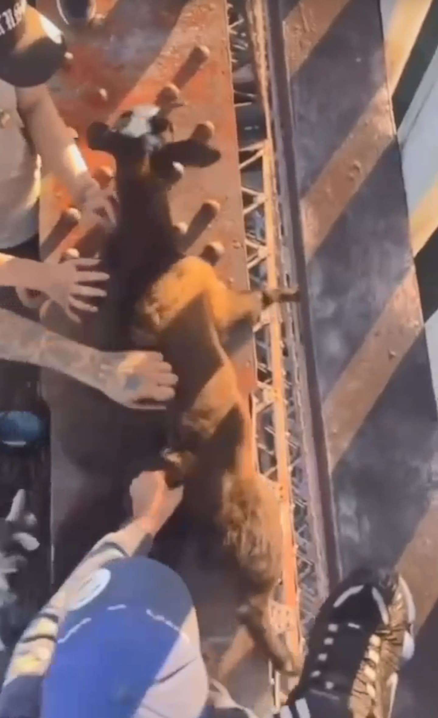 A video circulating on social media appears to show a group of youths atop the Mohaka Viaduct near State Highway 2 in the Hawke's Bay, throwing a goat to its death.