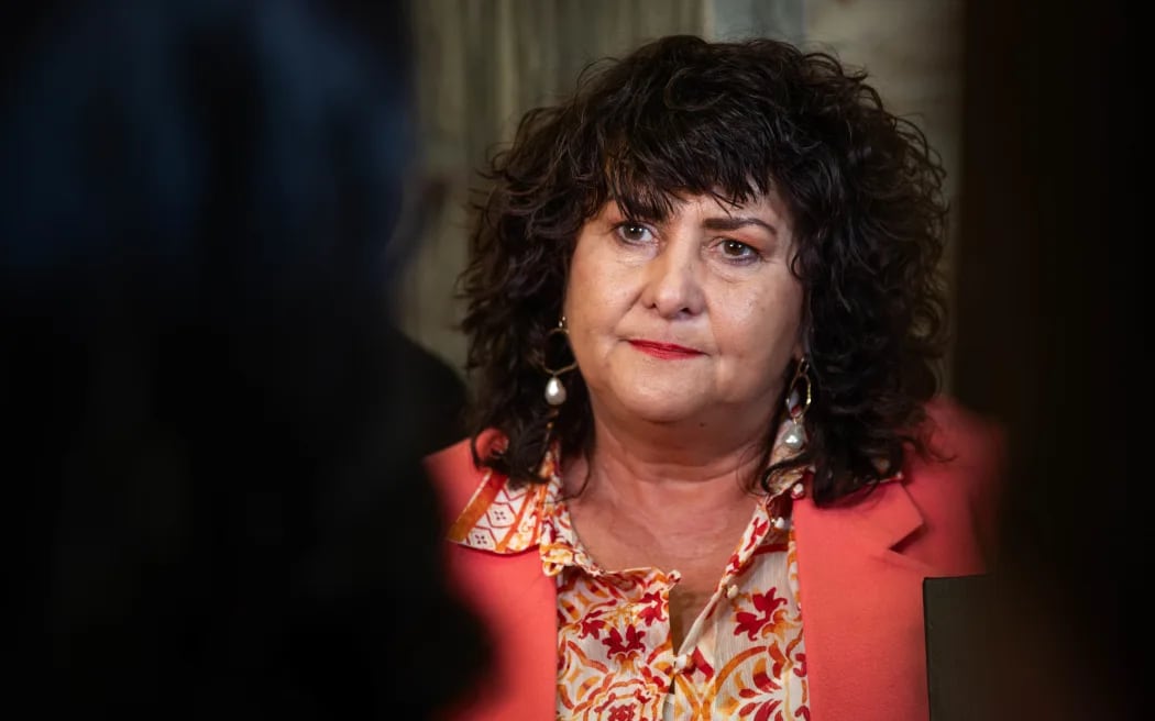 Associate Immigration Minister Casey Costello. Photo / RNZ / Angus Dreaver