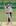 New Zealand's Daniel Vettori claims the wicket of Pakistan's Misbah ul-Haq. Photo / NZPA