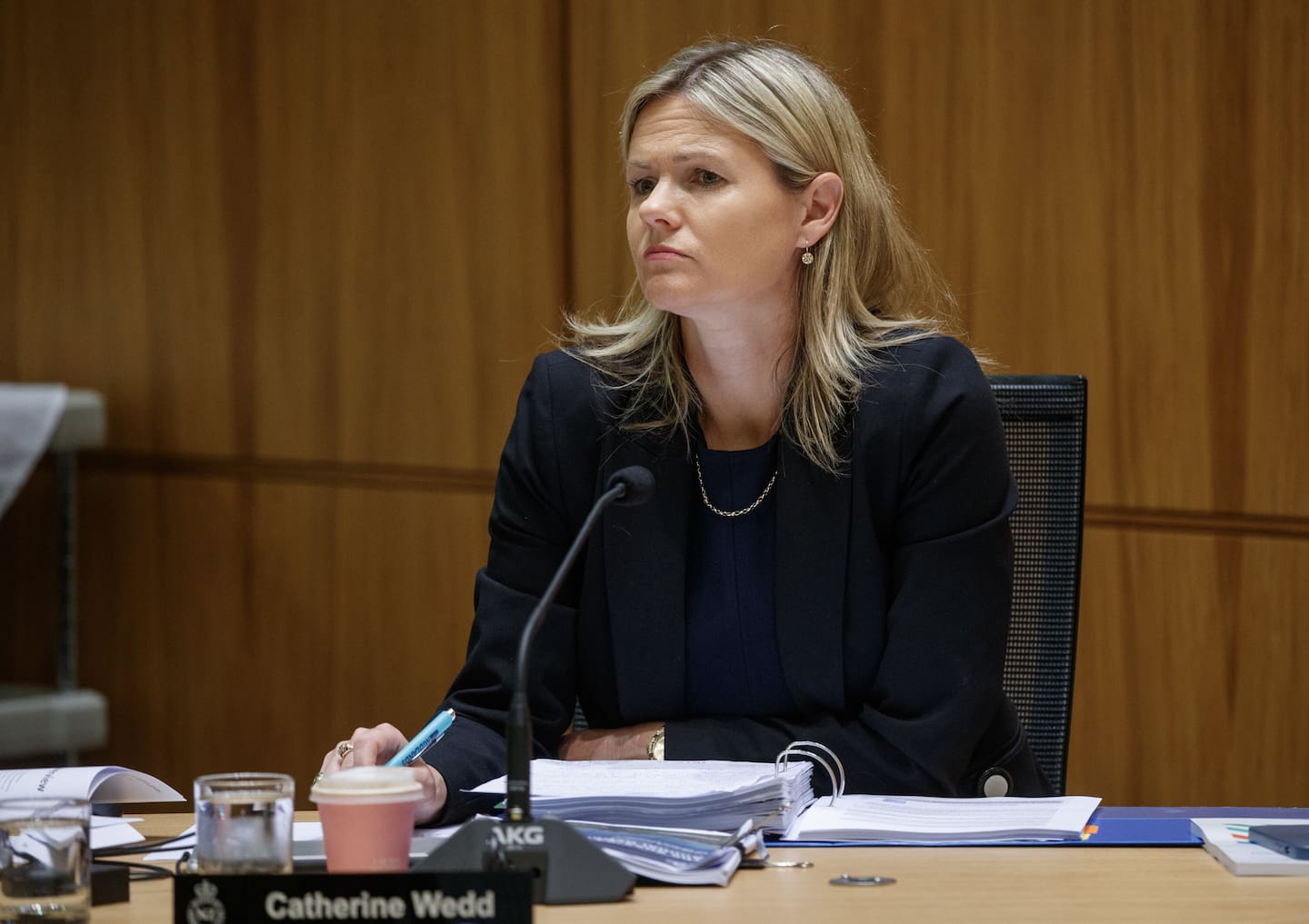 National MP Catherine Wedd put the bill forward, which aims to improve postnatal care. Photo / Mark Mitchell