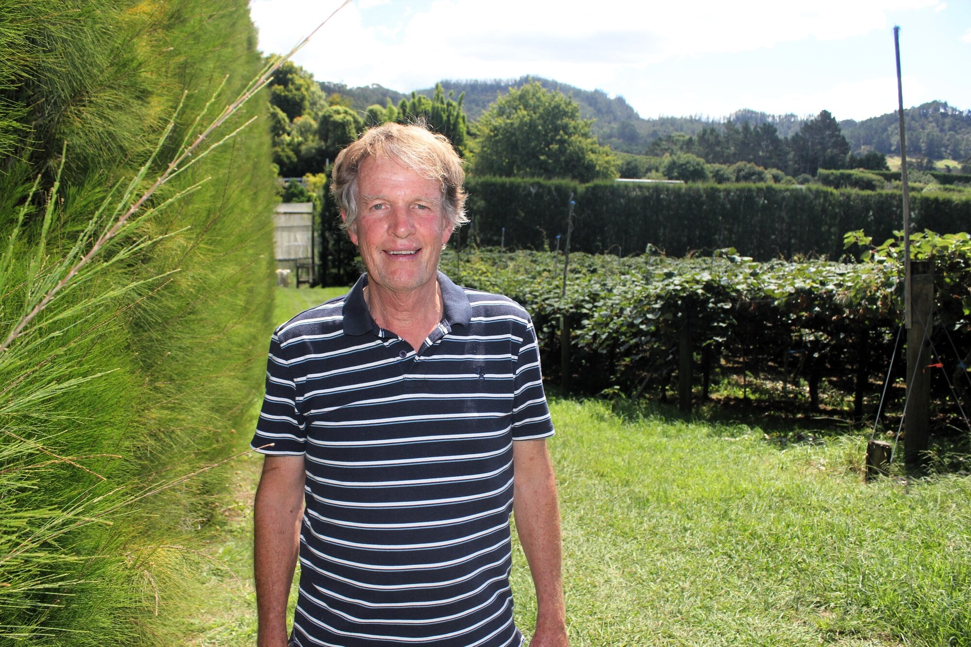  Dave Guy-Taylor on his Tanners Point Rd property, Flame Lily Orchard. Photo / Debbie Griffiths