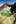 The  Tongariro Alpine Crossing affords magnificent views of otherworldly landscapes like the Emerald Lakes.