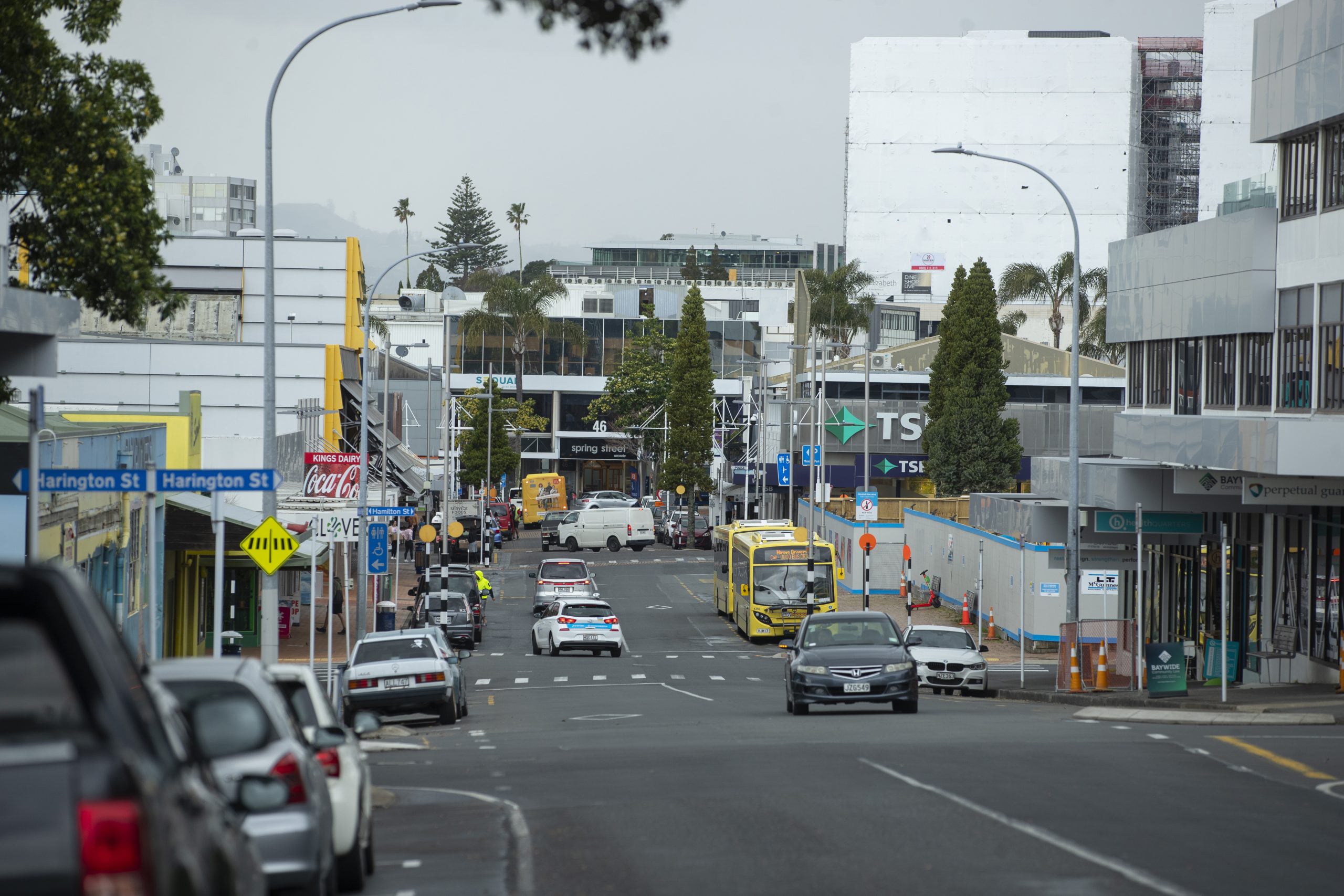 The retail crime unit earned praise from retailers in Tauranga's CBD. Photo / NZME