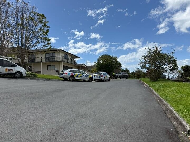  Police are investigating the cause of the crash. Photo / Bijou Johnson