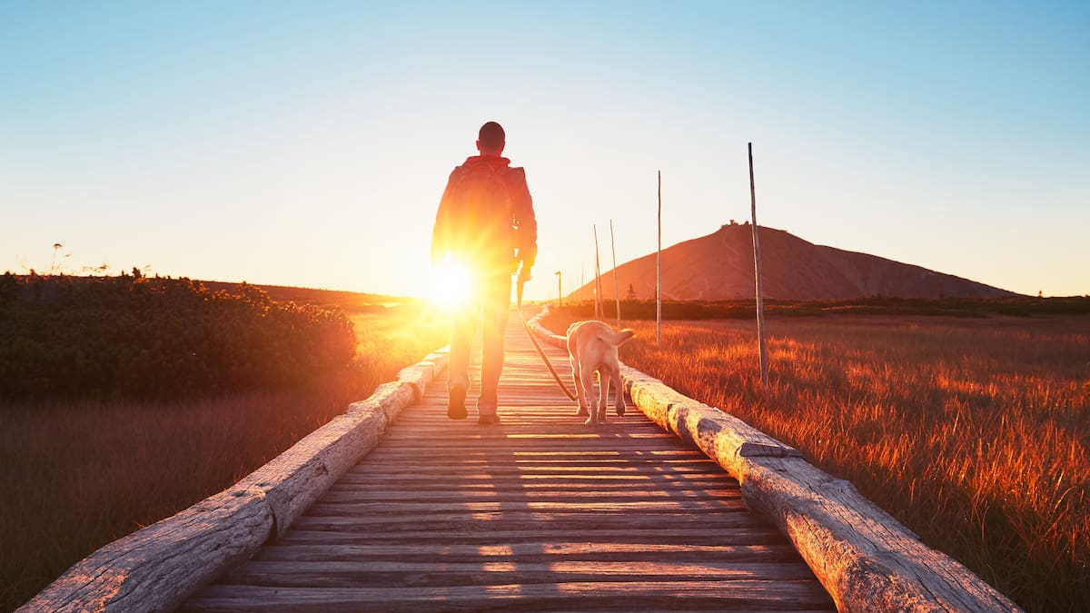 Authenticity can protect mental health. Here’s how to be authentic Authenticity can protect mental health. Here’s how to be authentic