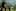 Battlefield: Bad Company 2