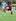 Ahsee Tuala of Counties Manukau dives in to score a try during the round nine ITM Cup match between Counties Manukau and Northland at Bayer Growers Stadium in Pukekohe. Photo / Getty Images