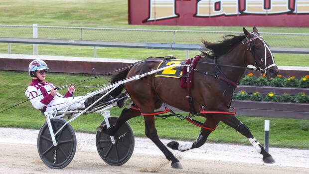 TAB launches modern self-service terminals for horse racing and sports ...