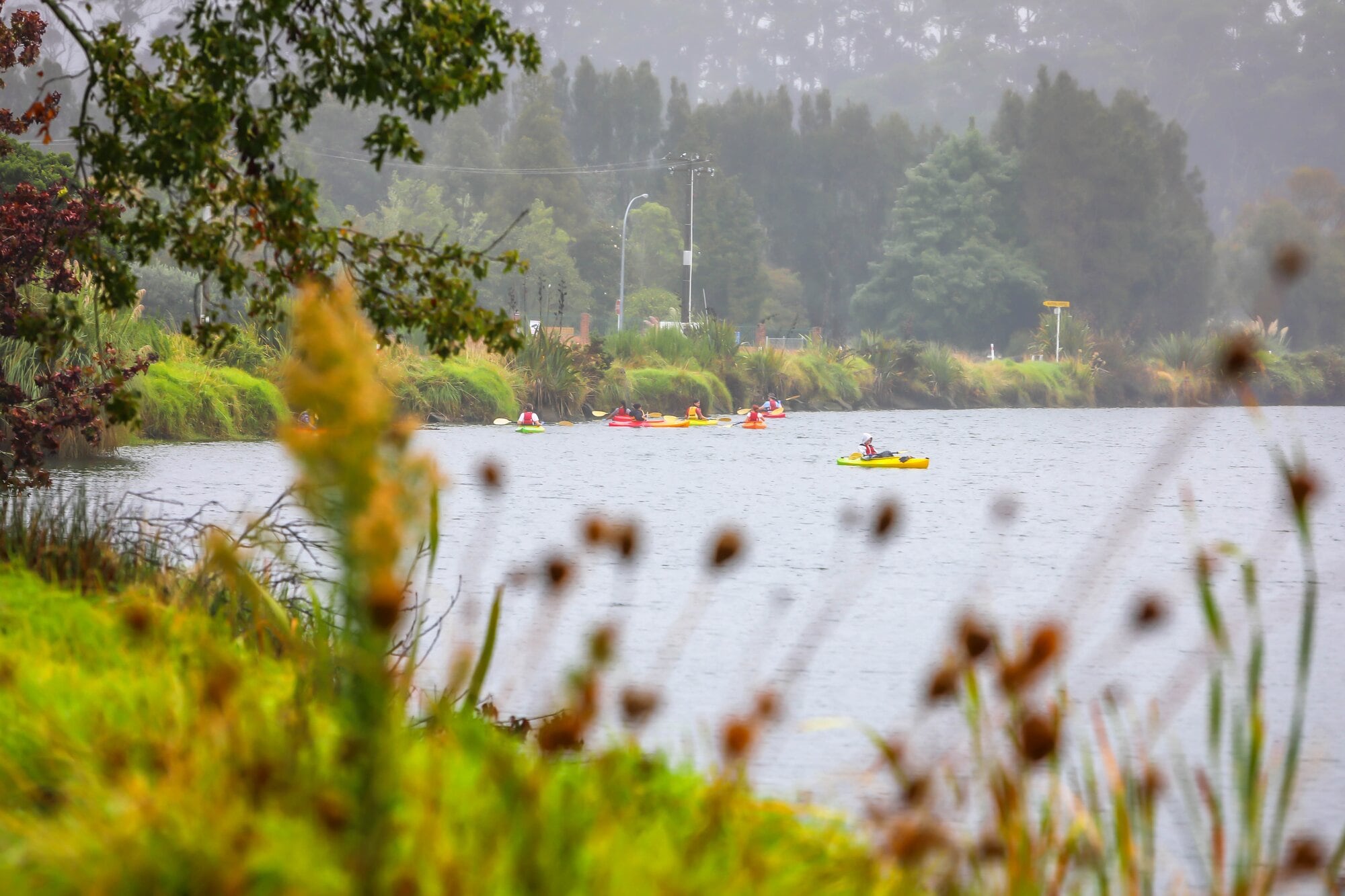  People in kayaks scout Wairoa River and it banks for rubbish. Photo / Kelly O&rsquo;Hara