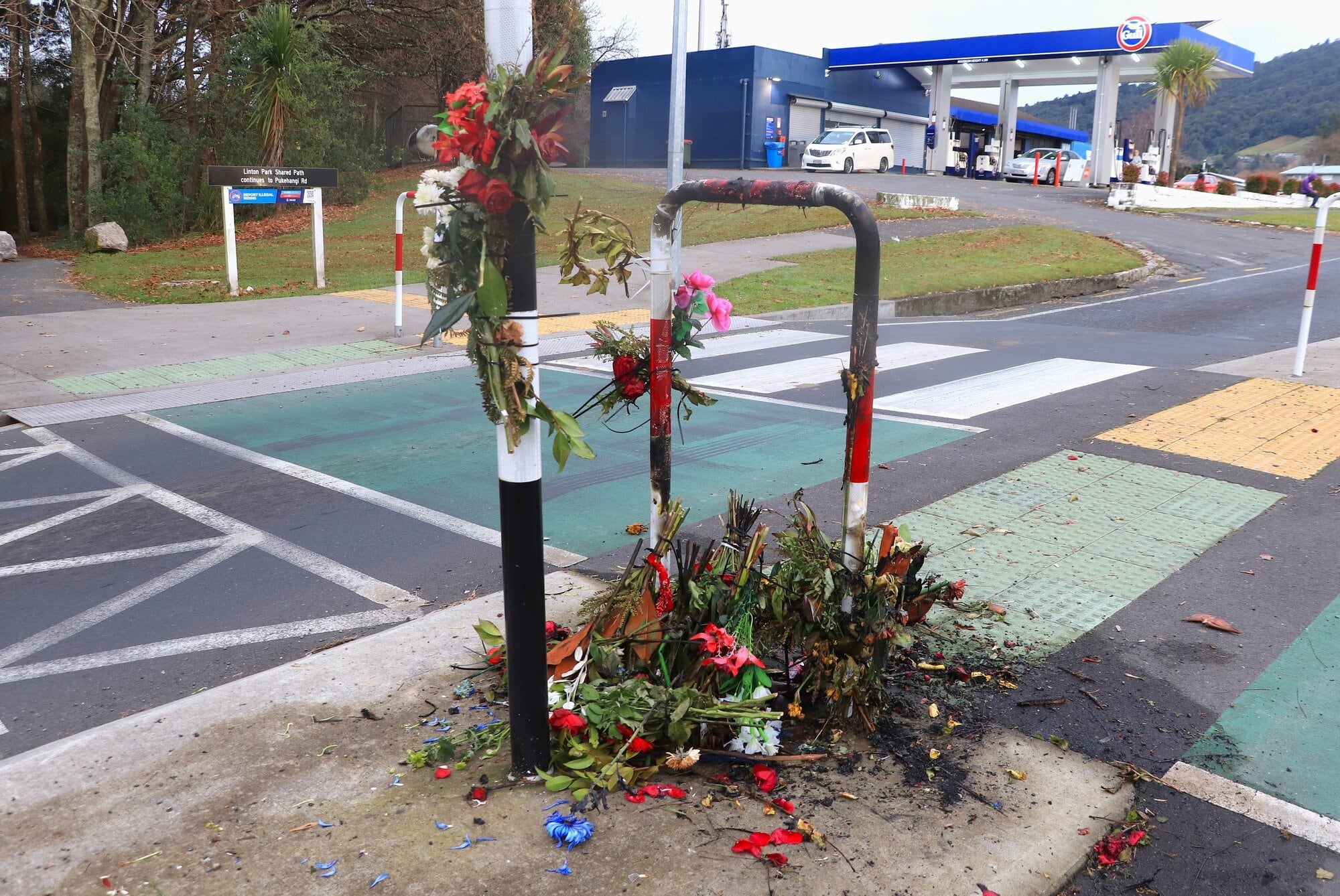 Some of the burnt flowers were replaced early this morning. Photo / Ben Fraser