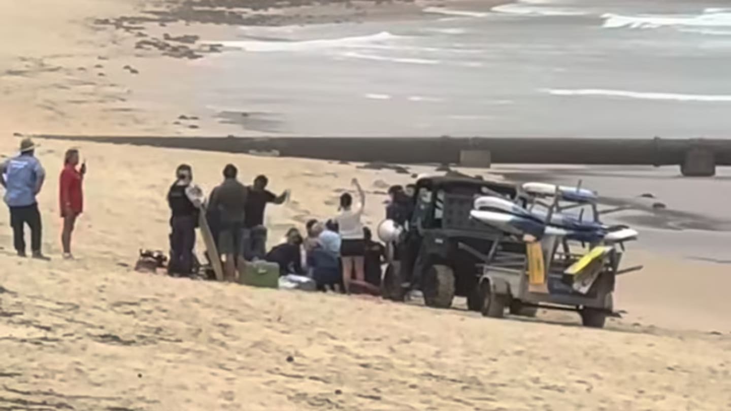 Man critical after shark attack in Manly, the third at a Sydney beach in two days - NZ Herald