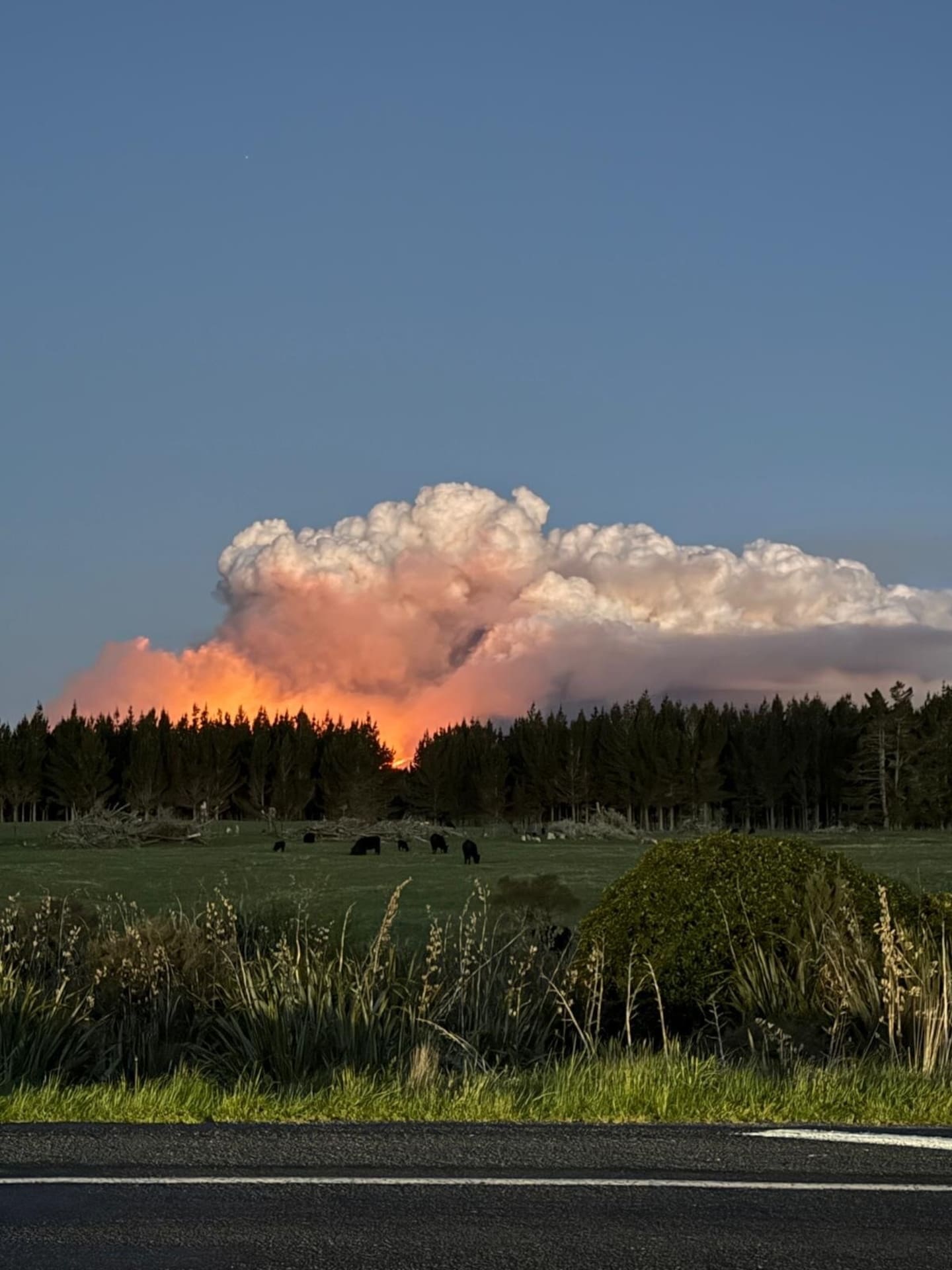 The fire can be seen from nearby roads. Photo / Raewyn Simpson