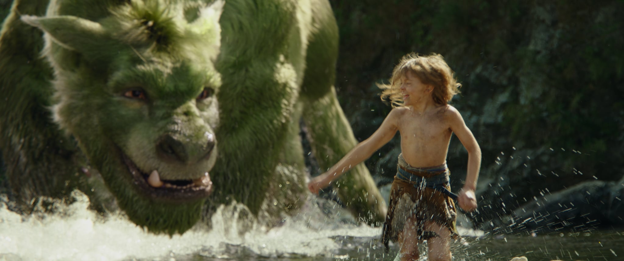 Some scenes from Disney’s Pete’s Dragon were filmed at McLaren Falls. Photo / Supplied