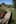 Cycle trails in the Waikato