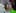 Election 2023
Te Pati Maori in Manukau
Takutai Tarsh Kemp
New Zealand Herald photograph by Mike Scott 14 October 2023
