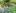 Possums and preserves: The joys of rural vegetable gardening Possums and preserves: The joys of rural vegetable gardening